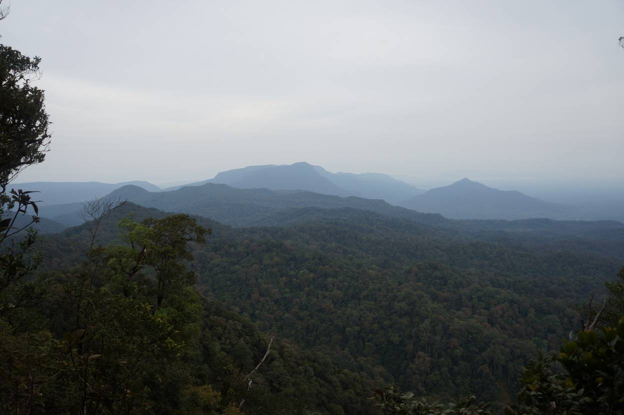 Gunung Niut | Gunung Bagging